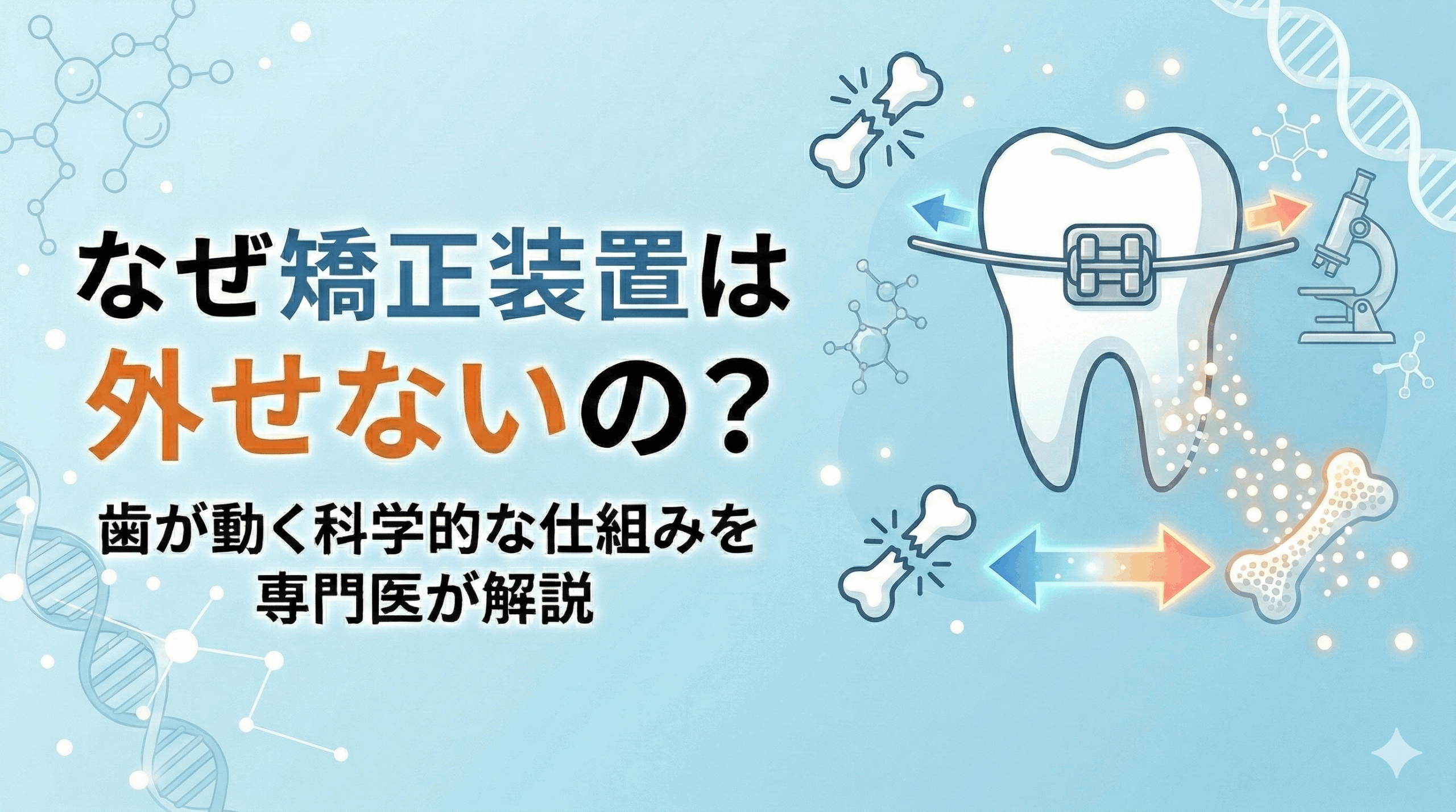 なぜ矯正装置は外せないの？歯が動く科学的な仕組みを専門医が解説